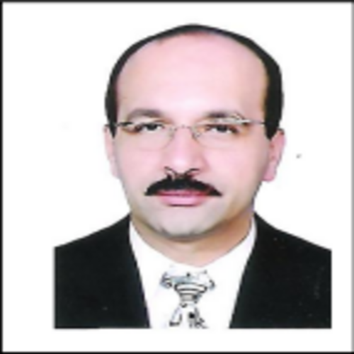 Dr. Hosam A. Ibrahim-Elzembely's profile
